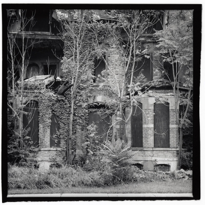 brush_park_3.jpg