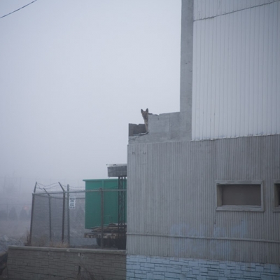 A foggy morning in Detroit